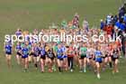 Womens Under-20s, 2024 CAU Inter Counties Cross Country Champs., Wollaton Park, Nottingham. Photo: David T. Hewitson/Sports for All Pics